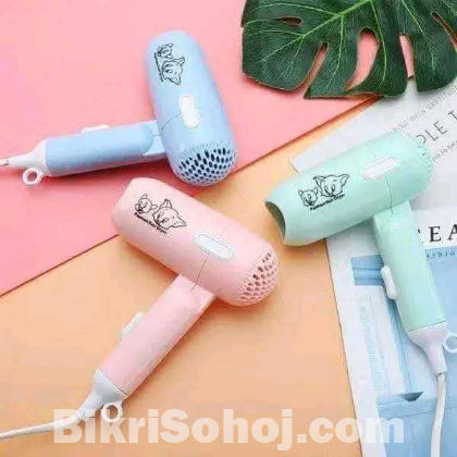 Reimiogton Hair Drayar